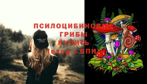 твердый Белоозёрский