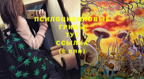 твердый Белоозёрский
