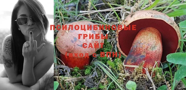 твердый Белоозёрский